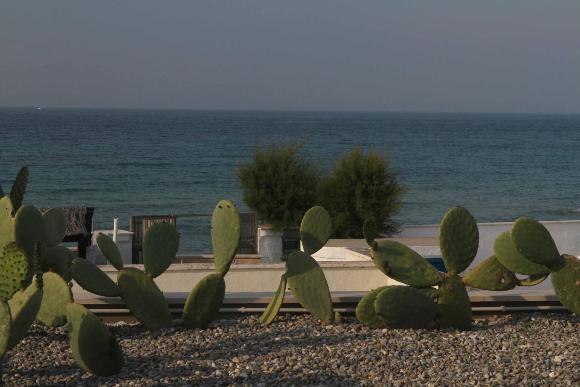 Beauty Beach Villa Monopoli Exterior photo